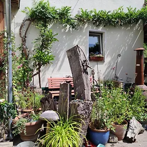 Gartenzimmer Mit Strassenbahn Zu Dom Und Messe Köln
